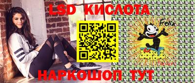 молекула духа Будённовск