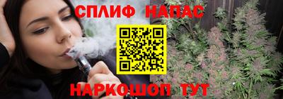 молекула духа Будённовск