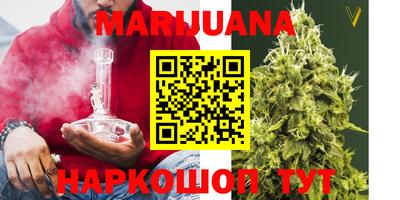 молекула духа Будённовск