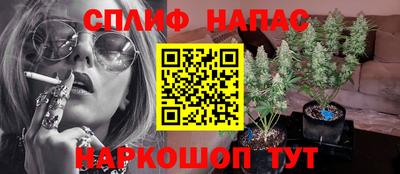 молекула духа Будённовск