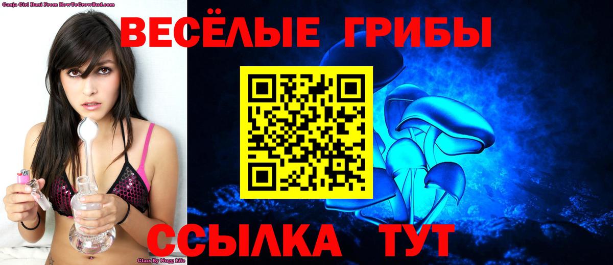 Псилоцибиновые грибы мицелий Пенза