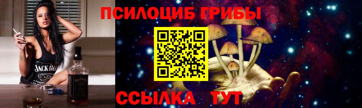 Пенза  Псилоцибиновые грибы MAGIC MUSHROOMS  Вход с VPN  Псилоцибиновые грибы GOLDEN TEACHER 